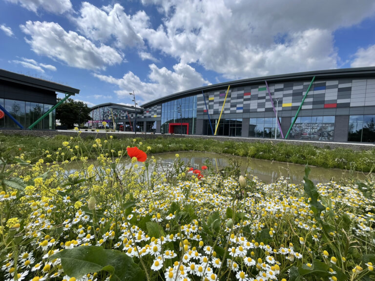 A leisure park with lots of green flowers as well as a pond in the middle. Situated alongside large colourful buildings.