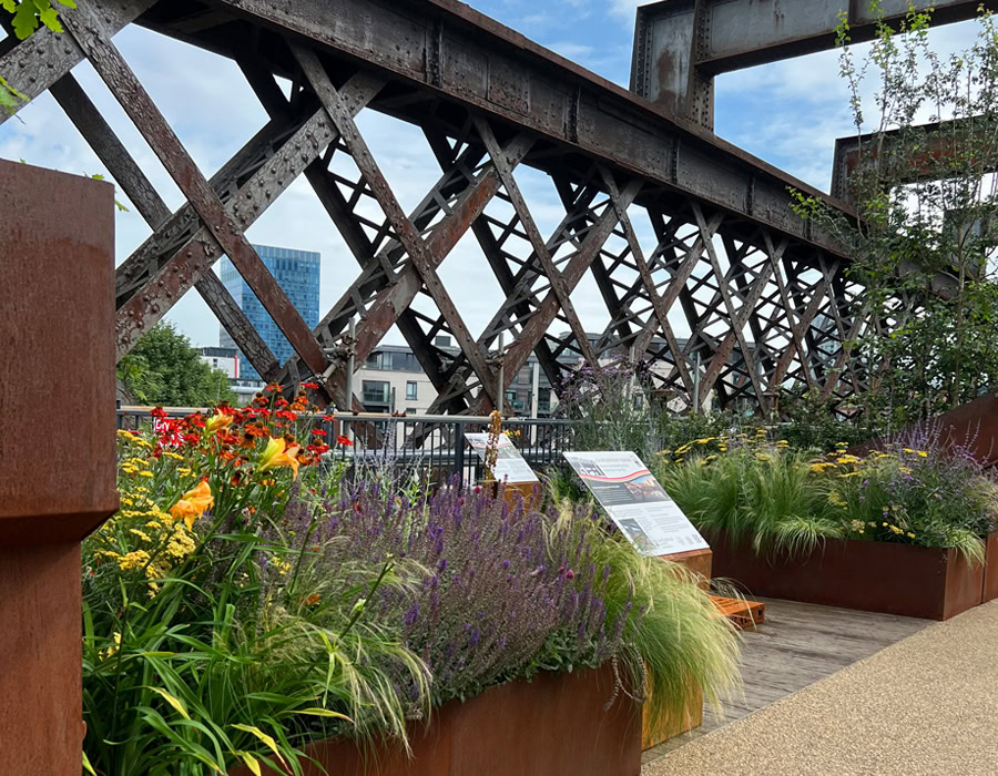 Raised garden beds with colourful and bright flowers and grasses which line a wooden walkway.