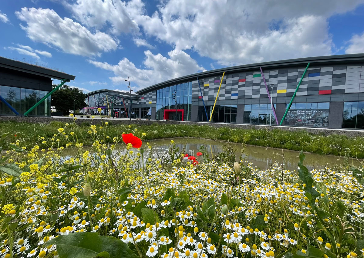 A contemporary building with colourful geometric facade under a cloudy blue sky, with a pond and wildflowers at the front, portraying nature and vibrancy.