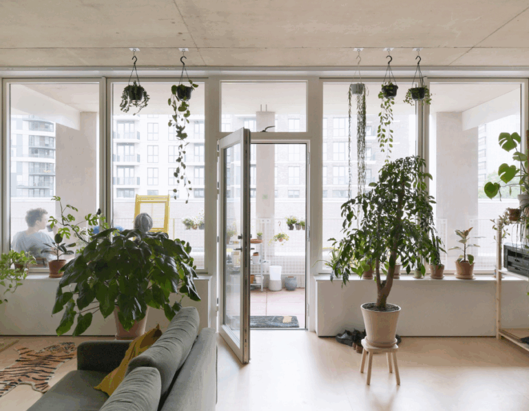 Photograph of a living room with a sofa and lots of plants.