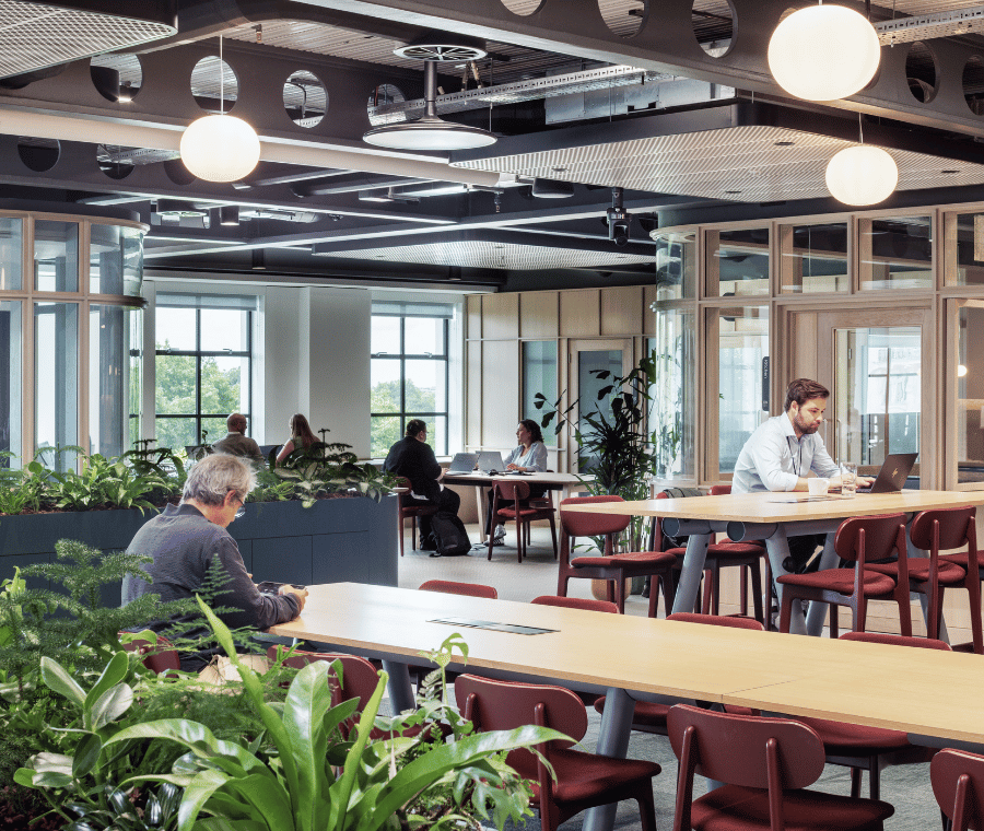 Inside One Great Cumberland Place's modern open-plan office with large windows, plants, and communal tables.
